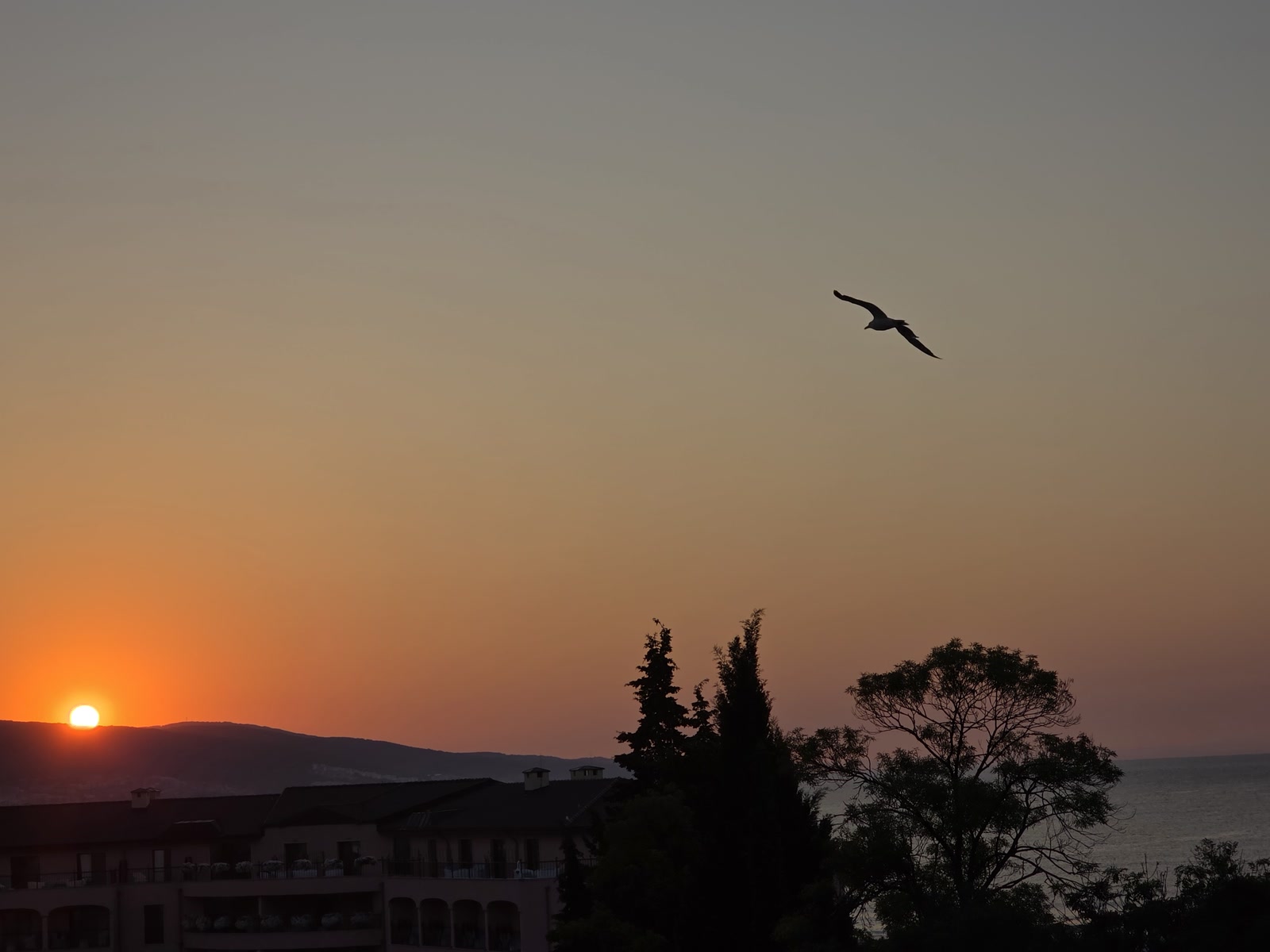 Sunrise over the hills from the Sunrise Corner terrace