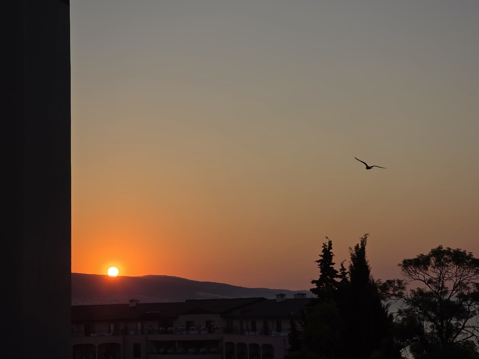 First light over the bay, seen from the terrace