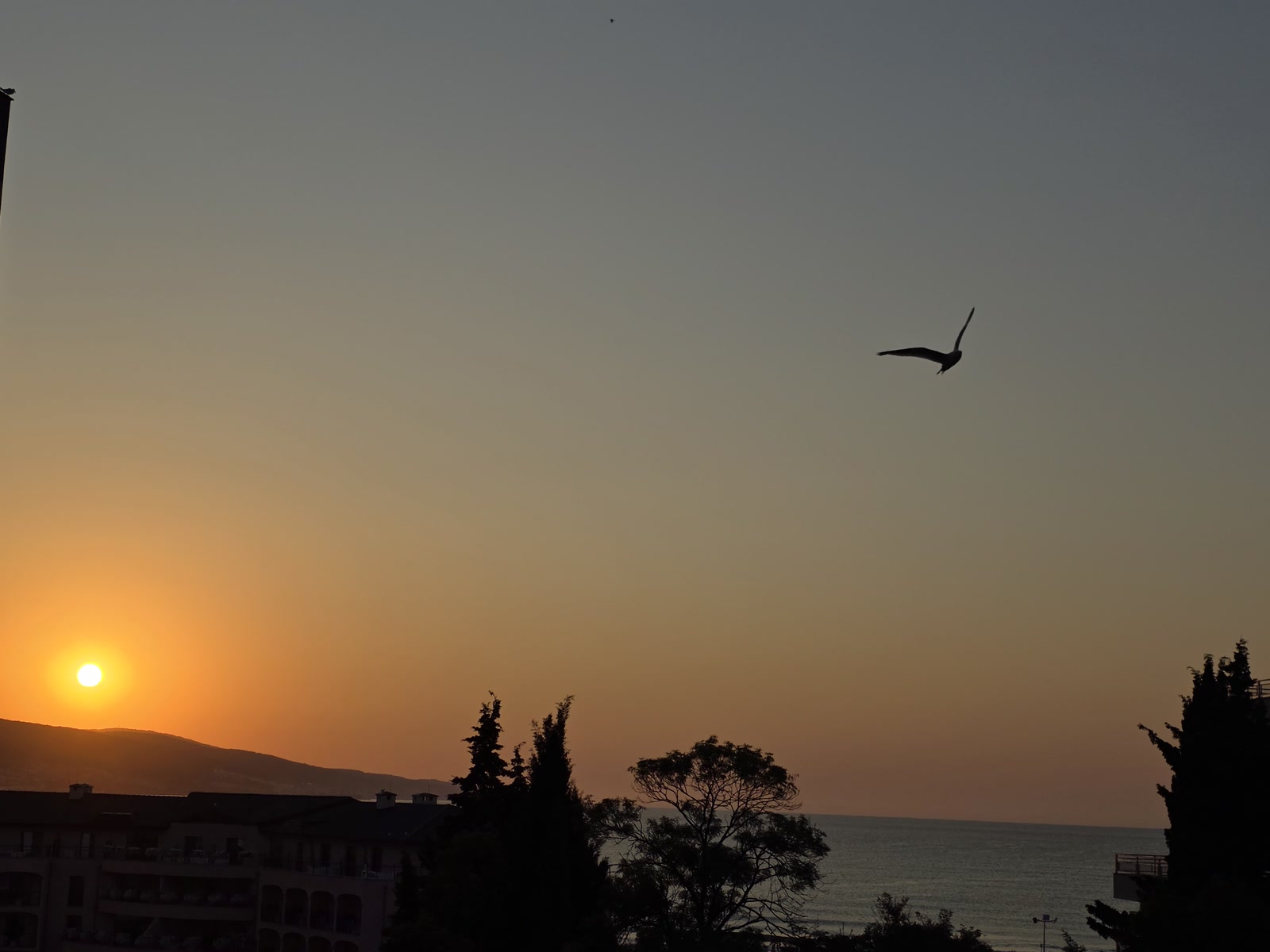 Morning sun over the Black Sea from the terrace